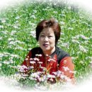 손남규 이미지