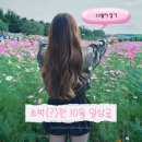 우신약국 | 2025 10월 일상글(feat.오사카여행, 놀고먹고, 영화관데이트, 에어쇼)