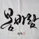 캘리그라피 Daum카페