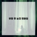 대나무한의원 | 요즘 핫한 부항! 약침치료 한의원 가서 솔직 후기 남겨요