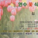 연수꽃식물원 이미지