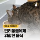 영주동물병원 이미지