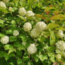 한양수자인공인중개사사무소 이미지