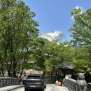 화엄사 | [구례 화엄사] 세상의 속세를 벗어나 힐링이 필요하다면 구례 화엄사로 떠나요