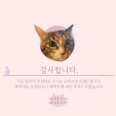 바스텟고양이병원 이미지