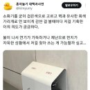 안 디자인