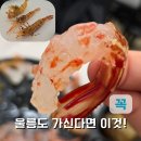 독도활어횟집 | 울릉도 도동 맛집 울릉가 | 독도새우 횟집 코스 후기