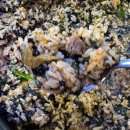 시골집 탕정점 이미지