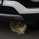 60계 광주금호점 이미지