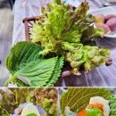 왕돌회수산 이미지