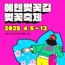 에덴벚꽃길 벚꽃축제 아무것도 없는 후기 예상 개화 시기