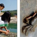 서산IC카센타 이미지