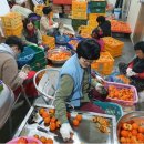 월계영농조합 이미지