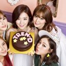 트랜디19