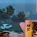 아리포차 이미지