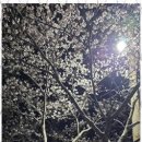 천마아이태권도장 이미지