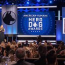 베벌리 도그 이미지