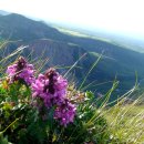 구름송이 이미지