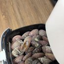 남경수산