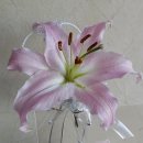 성산교회 이미지