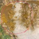 별딱지의쨍하고해뜨개 | [전시] 러시아 현대 작가전 Russian Contemporary Artists Exhibition @ 한전아트갤러리 KEPCO Art Center