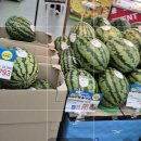 다향광고 | 《내돈내산》 이거어때? [롯데슈퍼] 코주부 징기스칸 육포 1+1 매운맛/순한맛