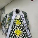 연세에스병원 이미지