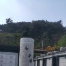 현충탑 소공원 Daum카페