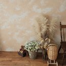 더 배냇 | 베이비스튜디오 아기사진관 추천 배냇스튜디오 후기