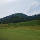 포레스트힐cc 이미지