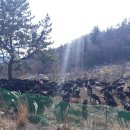 달뜨기흑염소목장 이미지