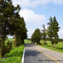 로사목장 이미지