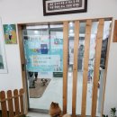 Dr루아동물병원 | 생연동동물병원 강아지 스케일링, 건강검진 받고온 리얼후기 - 소요산, 보산, 지행거주자 추천