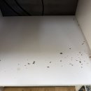 용지더샵레이크파크경로당 | 창원 용지더샵 레이크파크 이사청소 후기