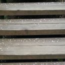 Every single moment 이미지