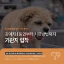 심동물병원 이미지