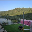 트랜드위드 이미지