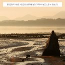 사천만