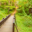 강원도청 이미지