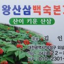 대왕산삼백숙본가