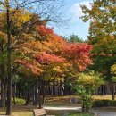 일동라스베가스 공원 이미지