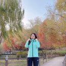 삼한사우나 이미지