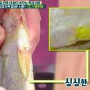 사람과 기(氣) 식품 이미지