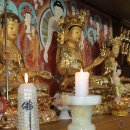 한국불교태고종관음사 이미지