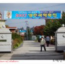 2007년 10월 13일 영주과학축전 행사지원 이미지