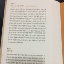 빨강머리 이미지