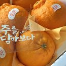 수복농장 이미지