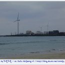 제주나그네 이미지