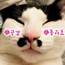 국수나무 장곡점 이미지