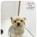 경희궁바른동물병원 이미지